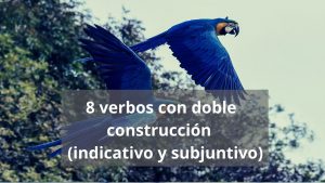 Lee más sobre el artículo Indicativo vs. subjuntivo con verbos de doble construcción